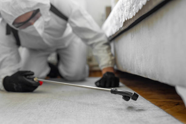 Professional Termite Control technician working in Moorhead, MN