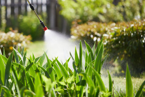 24/7 Emergency Termite Control experts in Moorhead, MN