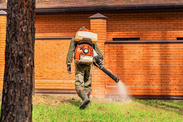 Top rated local Termite Control specialists in Moorhead, MN
